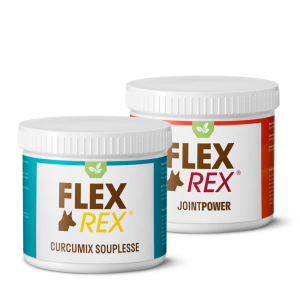 FlexRex Curcumix + JointPower